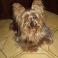 estaba listo para irme a dormir.
Falleci el 6 de febrero de 2008.